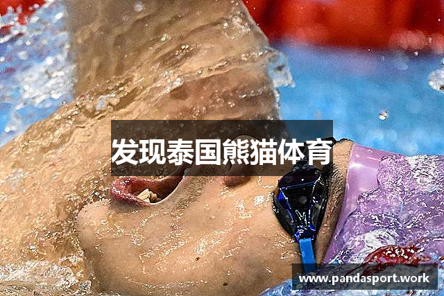 发现泰国熊猫体育